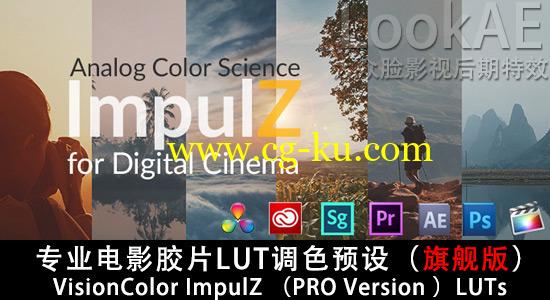 专业电影胶片LUT调色预设（旗舰版）VisionColor ImpulZ LUTs Ultimate Version的图片1