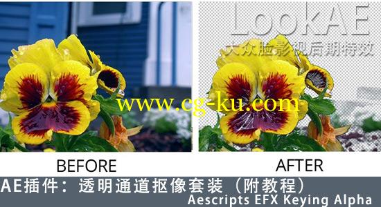 AE插件：透明通道抠像套装（附教程）Aescripts EFX Keying Alpha的图片1