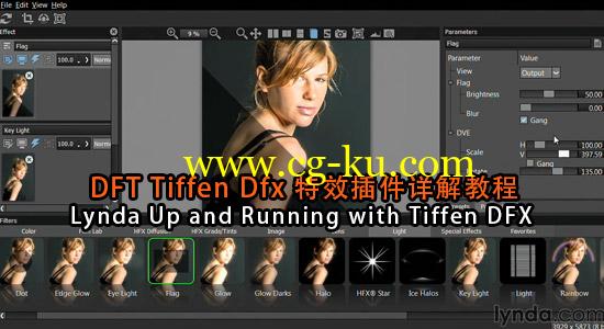 DFT Tiffen Dfx 特效插件详解教程Lynda Up and Running with Tiffen DFX的图片1