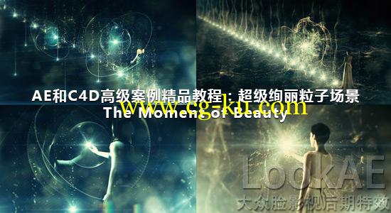 AE和C4D高级案例精品包装教程：超级绚丽粒子场景《The Moment of Beauty》的图片1