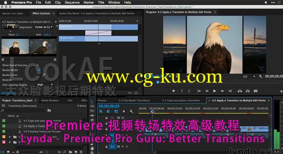 Premiere 视频转场特效高级教程 Lynda – Premiere Pro Guru: Better Transitions的图片1