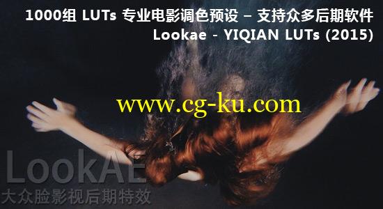 1000组 LUTs 专业电影调色预设 – 多软件支持 Lookae – YIQIAN LUTs (2015)的图片1