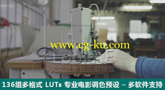 136组多格式 LUTs 专业电影调色预设 Lookae – DUOGESHI LUTs (136)的图片1
