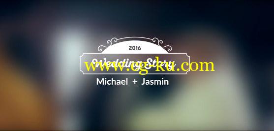 AE模版：10种主题婚礼新郎新娘姓名标签动画 10 wedding titles的图片1