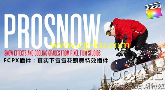 FCPX插件：30种真实下雪雪花飘舞特效插件 PFS – PROSNOW的图片1