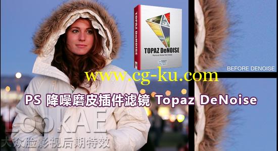 Photoshop 插件：PS降噪磨皮滤镜插件 Topaz DeNoise 6 v6.0.1的图片1