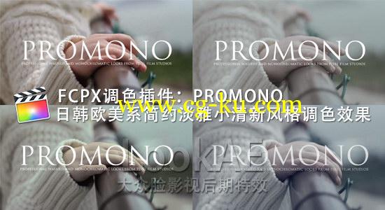 FCPX调色插件：日韩欧美系简约淡雅小清新风格调色插件 PFS – PROMONO的图片1