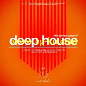 The Secret Sounds of Deep House Vol.1的图片1