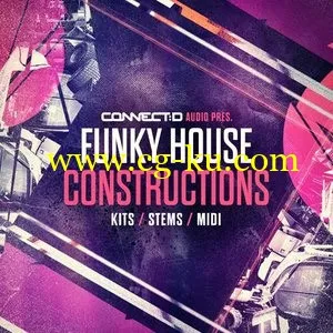 CONNECTD Audio Funky House Constructions的图片1