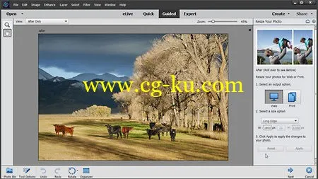 Lynda - Photoshop Elements 14 Essential Training的图片1