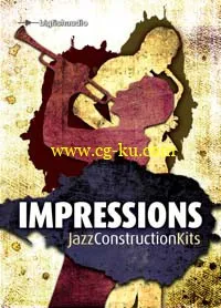 62 CONSTRUCTION KITS的图片1