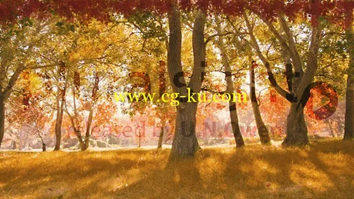 Changing Seasons in After Effects and Photoshop的图片1