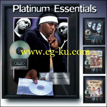 Big Fish Audio Platinum Essentials Vol.2 ACID WAV REX AiFF DVDR-DYNAMiCS的图片1