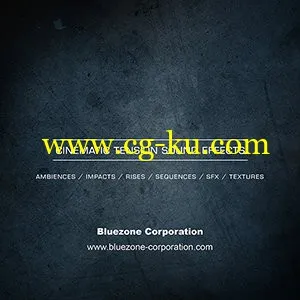 Bluezone Corporation Cinematic Tension Sound Effects WAV的图片1