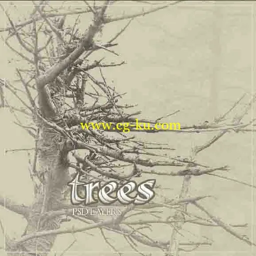 Trees（树）的图片1