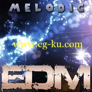 ZionMusic – Melodic EDM Vol. 1 WAV的图片1