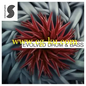 Samplephonics Evolved Drum and Bass MULTiFORMAT的图片1