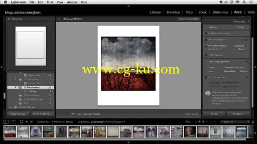 Making Great Prints in Lightroom CC的图片1