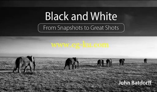 Black and White From Snapshots to Great Shots (2015 Release)的图片1