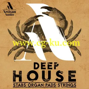 音效素材Artisan Audio – Deep House Stabs Organ Pads and Strings [WAV MiDi]的图片1
