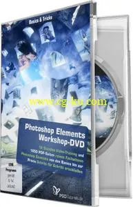 PSD Tutorials – Photoshop Elements – Basics & Tricks的图片1