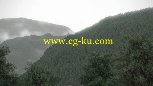 5个高分辨率FBX格式的云杉树的图片1
