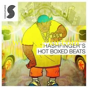 音效下载Samplephonics – Hashfinger’s Hot Boxed Beats MULTiFORMAT的图片1