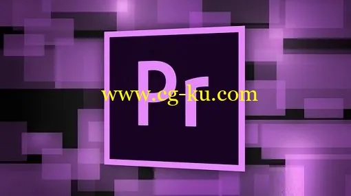 The Ultimate Adobe Premiere Pro CS6 & CC Tutorial的图片1