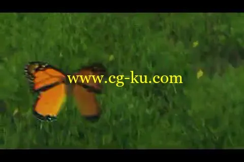 3D+后期,自然清新的蝴蝶飞舞停留logo片头的图片1