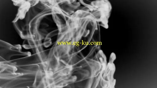 AE CS5版本,柔美墨水晕染中的图片展示模板的图片1