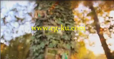 实拍+后期,梦幻温暖的家庭树AE相册模板,2版入的图片1 实拍+后期,梦幻温暖的家庭树AE相册模板,2版入的图片1