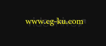 复古怀旧的胶片样式AE相册模板的图片1 复古怀旧的胶片样式AE相册模板的图片1