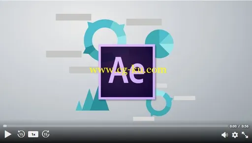 Adobe After Effects Expressions Create Motion Infographics的图片1