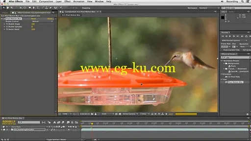 Lynda – After EffectsCreative Cloud Updates的图片1