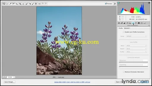 Photoshop cs6基本教程的图片1