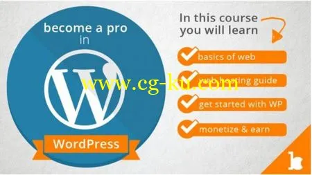 The Perfect Guide To Become A Pro In WordPress的图片1