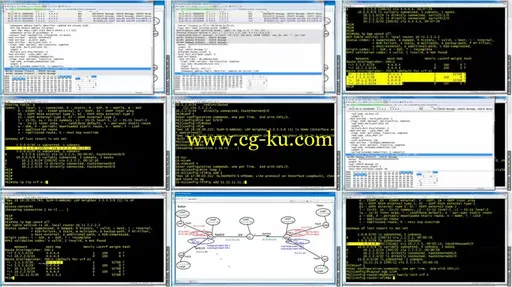 CCIE R&S: Introduction To MPLS VPNs的图片2