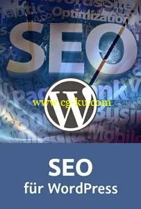 Video2Brain – SEO Für WordPress的图片1