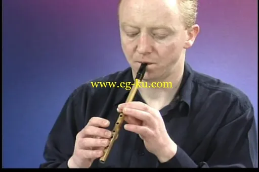 Learn To Play The Irish Tin Whistle的图片2