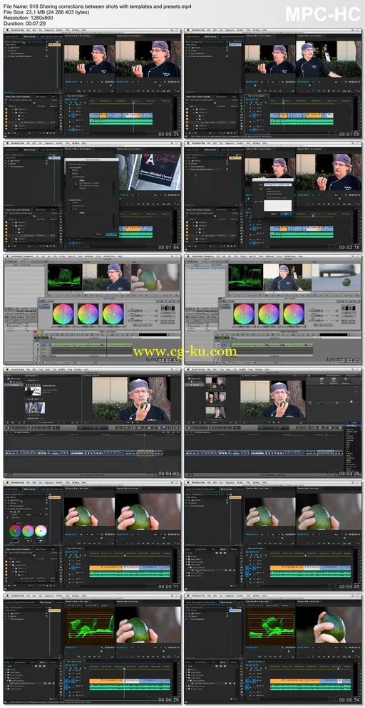 Lynda – Introduction To Video Color Correction的图片2