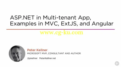 ASP.NET In Multi-tenant App, Examples In MVC, ExtJS, And Angular的图片1