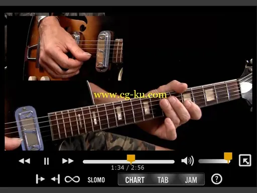 Truefire – Richard Van Bergen’s 50 Down Home Blues Licks You Must Know (2013)的图片3