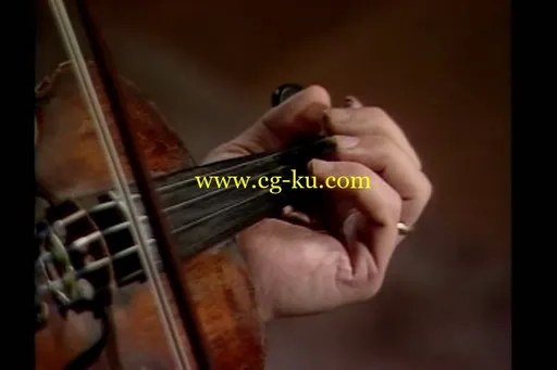 A Fiddler’s Guide To Waltzes, Airs And Haunting Melodies的图片3