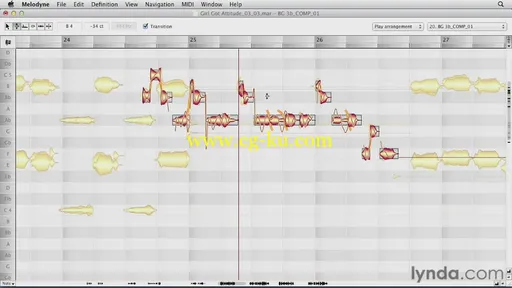 Melodyne Advanced Techniques的图片3