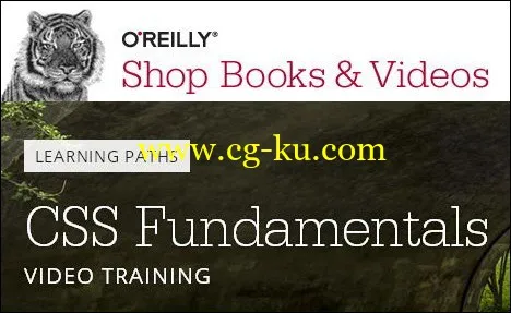 O’Reilly Learning Paths – CSS Fundamentals Video Training的图片1