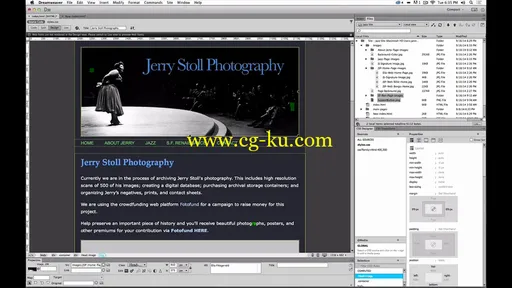 Getting Started With Dreamweaver With Janine Warner (2015)的图片2