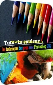 Tuto.com – La couleur – les techniques des pros avec Photoshop CS5的图片1