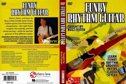 Funky Rhythm Guitar的图片1