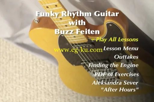 Funky Rhythm Guitar的图片2