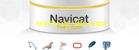 Navicat Premium Enterprise 11.2.6 X86/x64的图片1